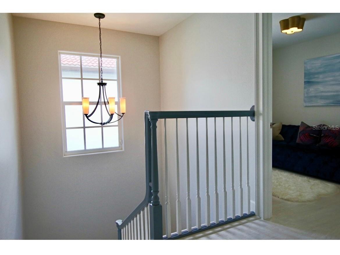 4316 W San Pedro Street Tampa FL 33629 TB8514612 image16