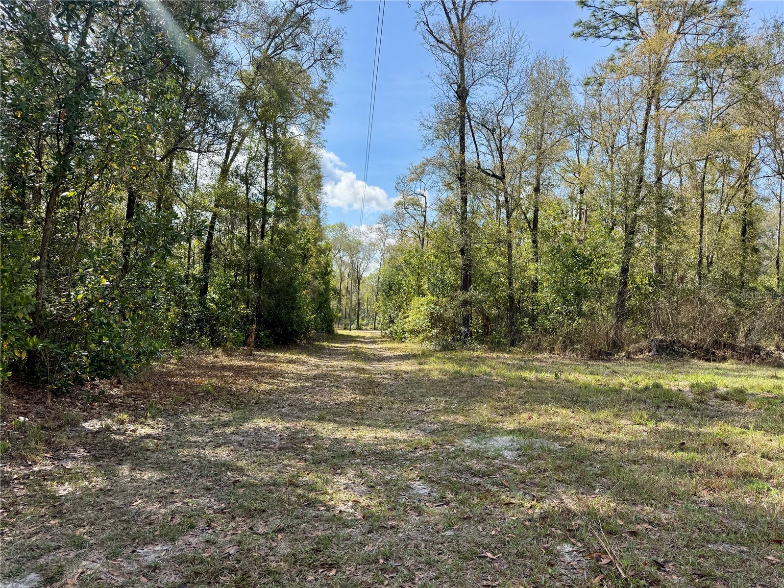 4317 284th Street Branford FL 32008 TB8484351 image15