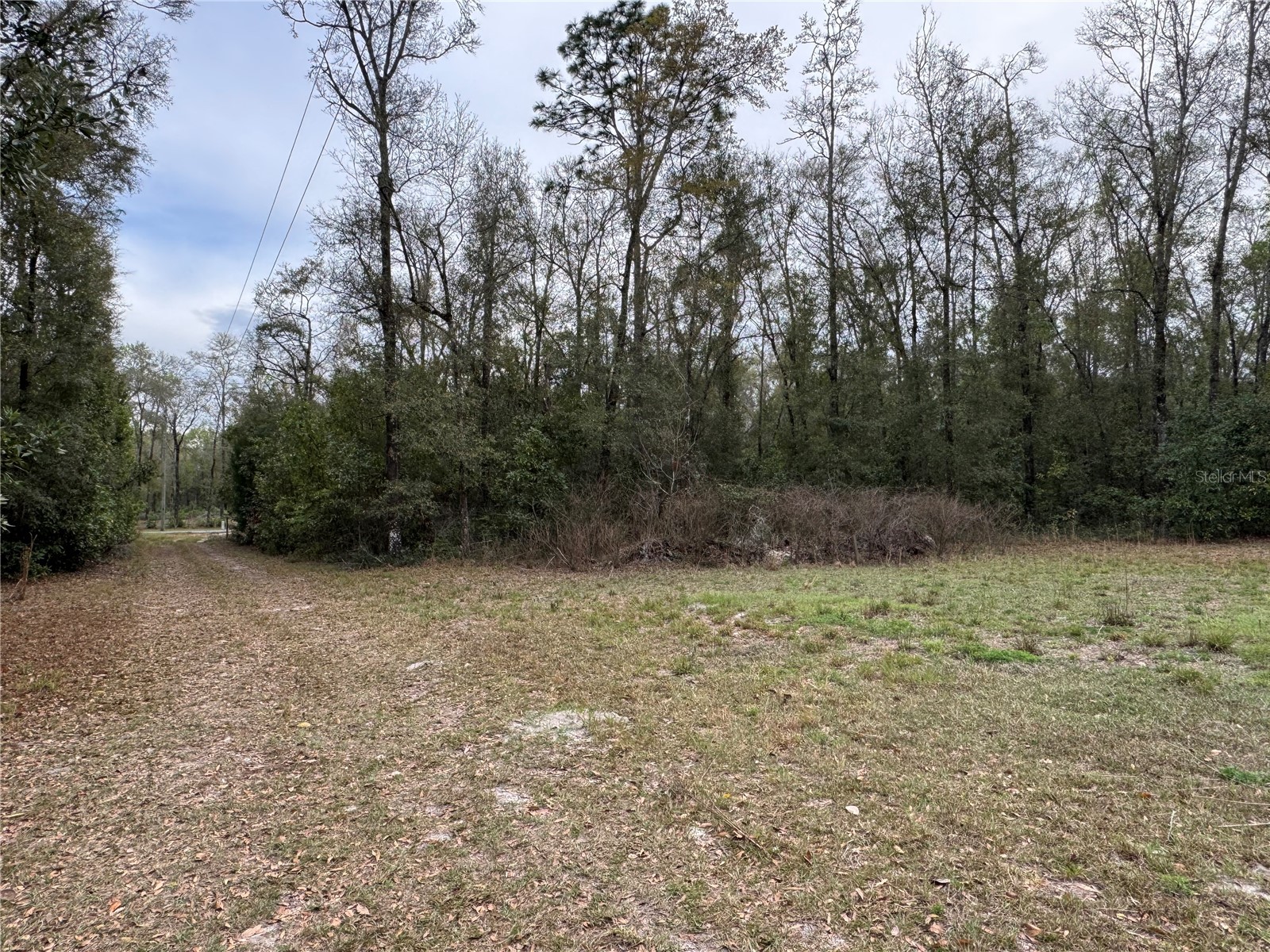 4317 284th Street Branford FL 32008 TB8484351 image16