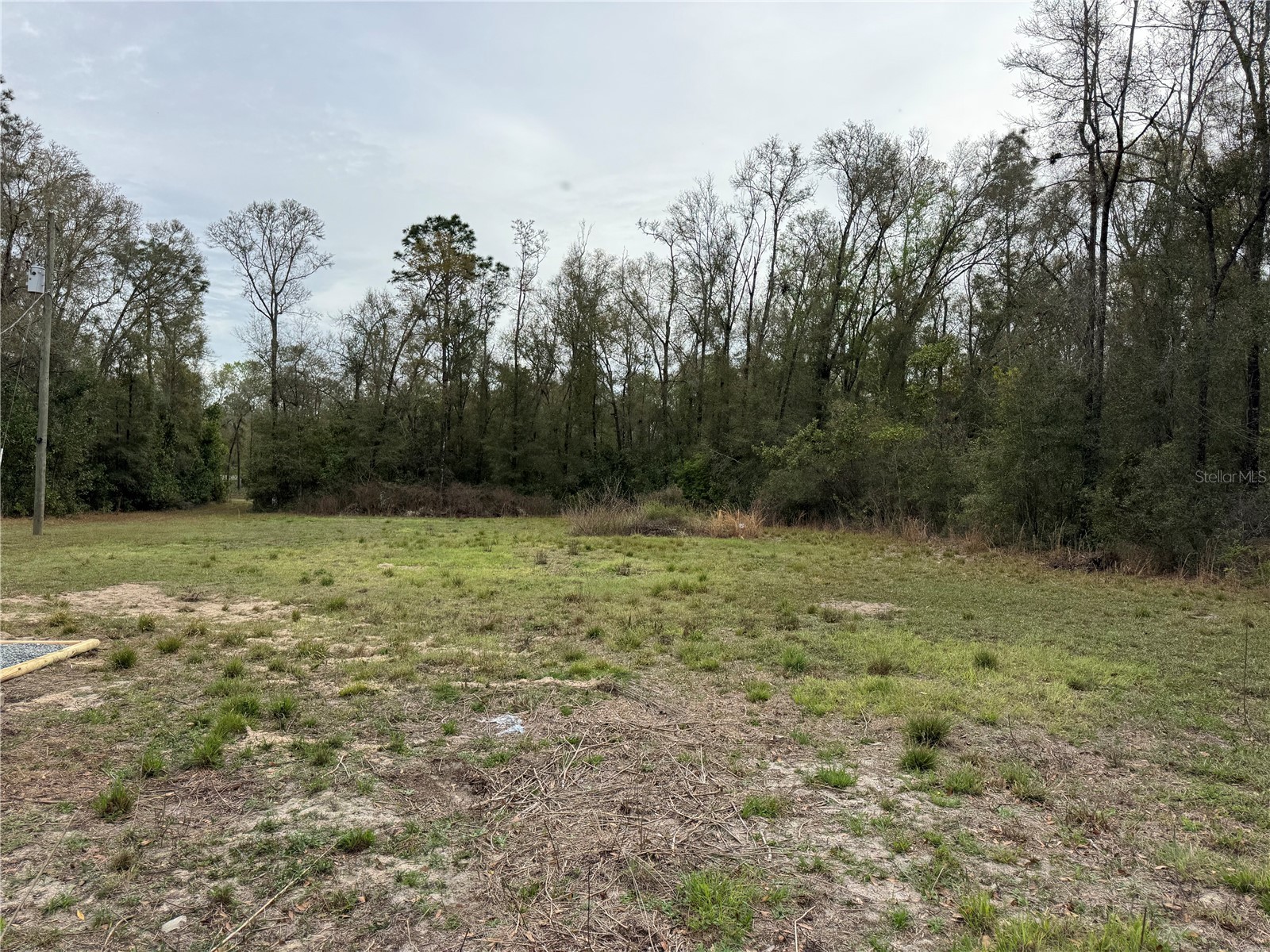 4317 284th Street Branford FL 32008 TB8484351 image17