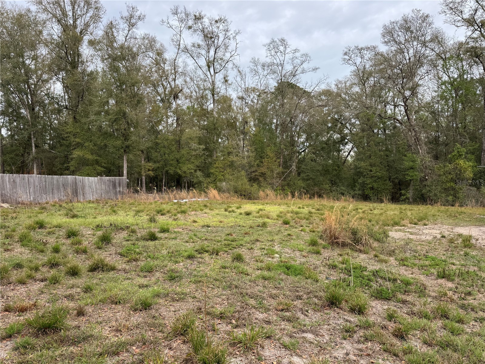 4317 284th Street Branford FL 32008 TB8484351 image18