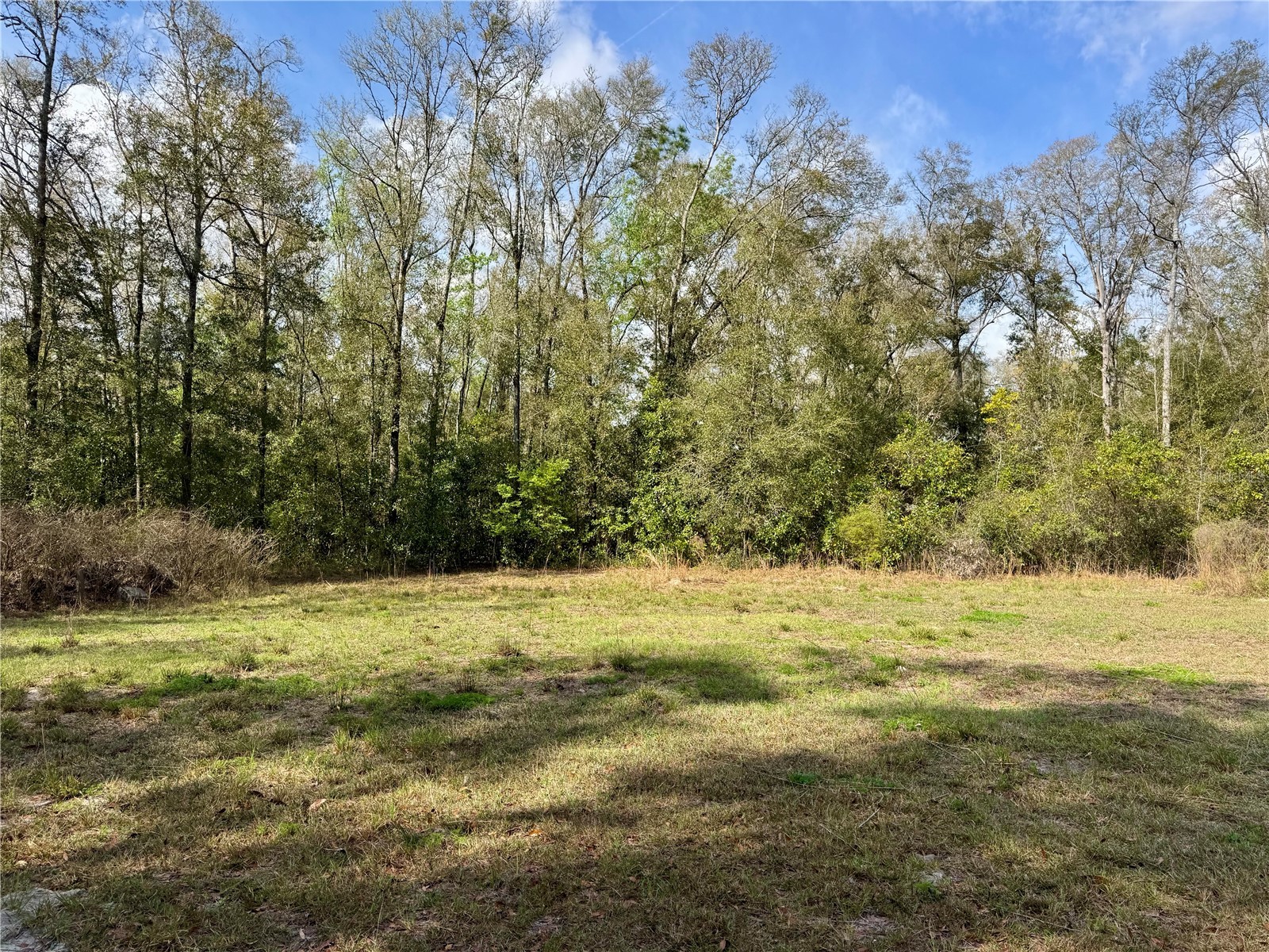 4317 284th Street Branford FL 32008 TB8484351 image19