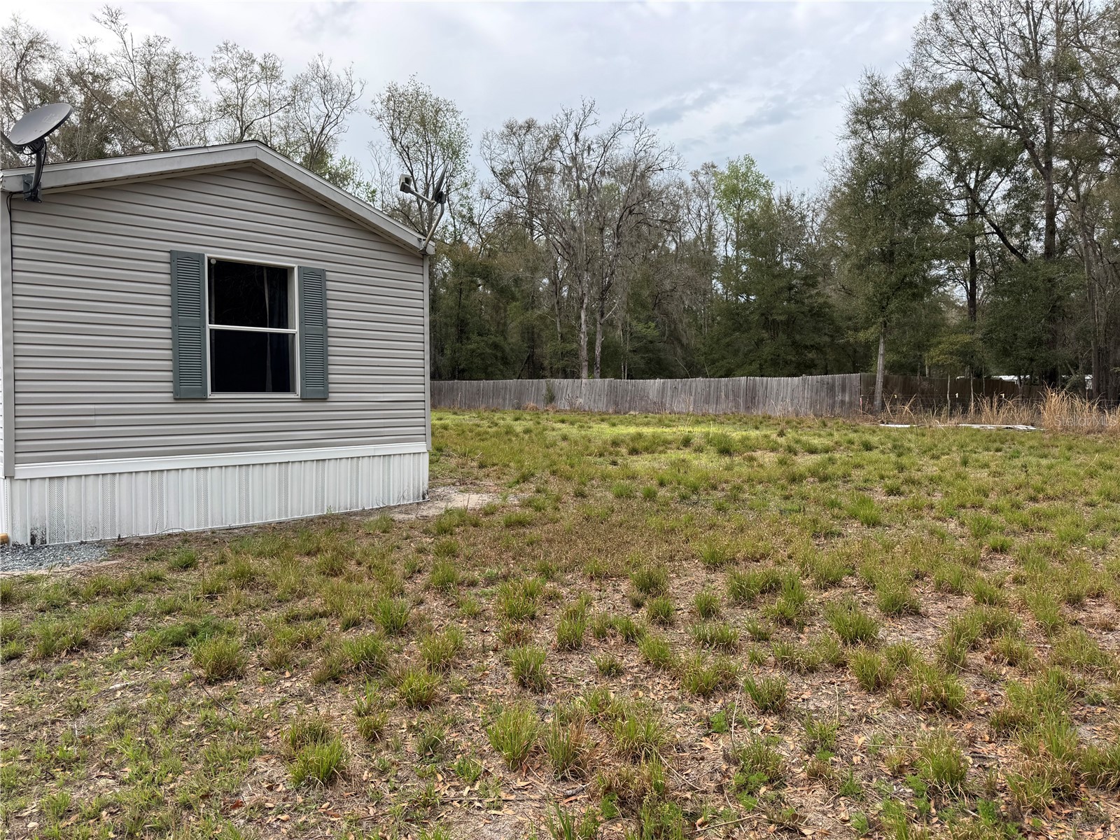 4317 284th Street Branford FL 32008 TB8484351 image21