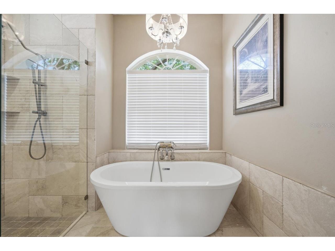 4317 Beau Rivage Circle Lutz FL 33558 TB8494473 image45