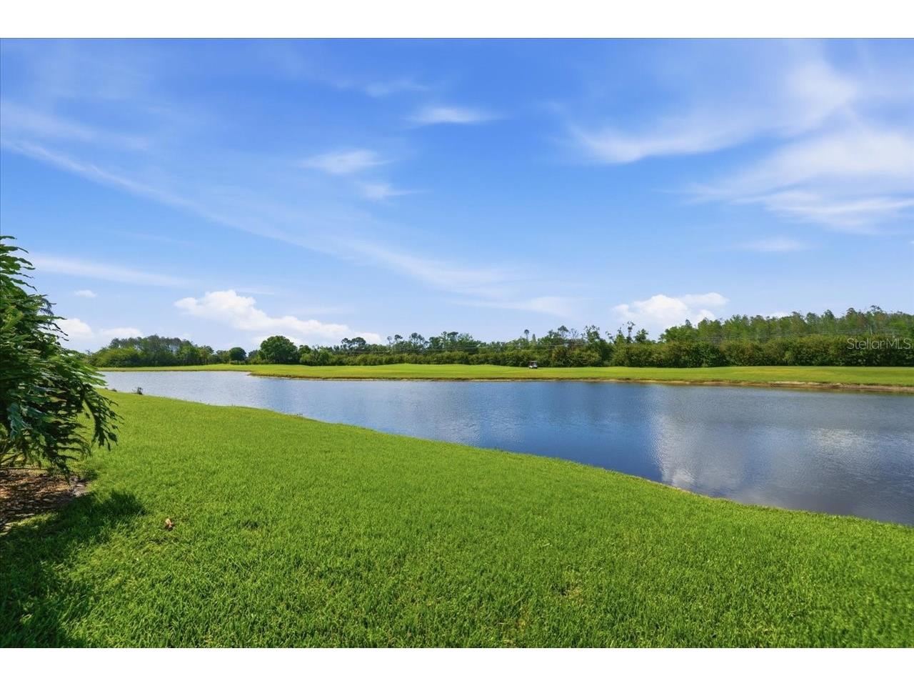 4317 Beau Rivage Circle Lutz FL 33558 TB8494473 image67