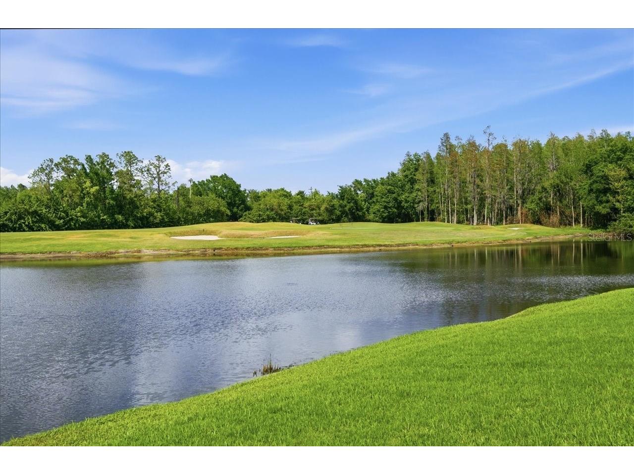 4317 Beau Rivage Circle Lutz FL 33558 TB8494473 image68