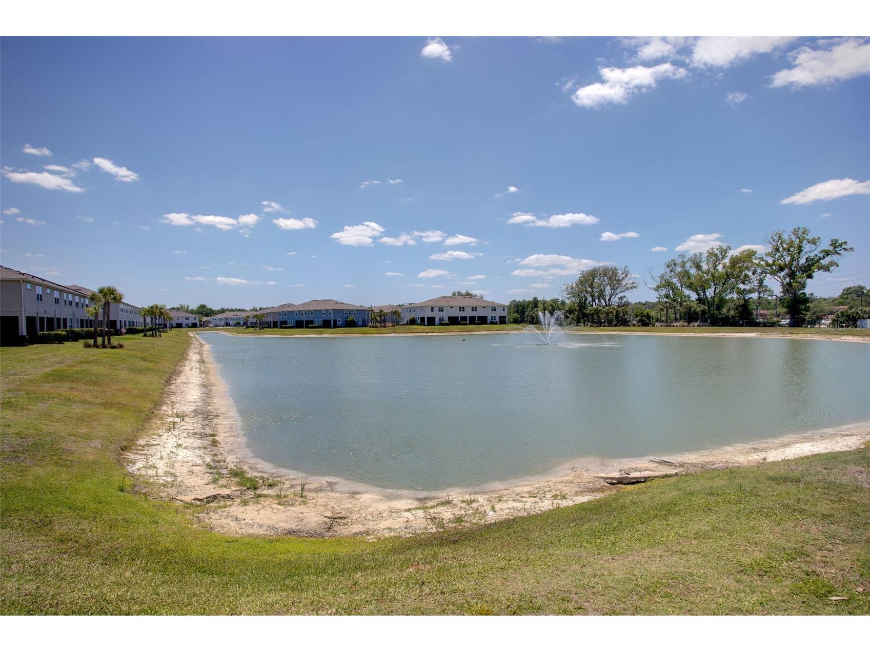 4317 Cloud Hopper Way Lutz FL 33559 TB8500396 image34