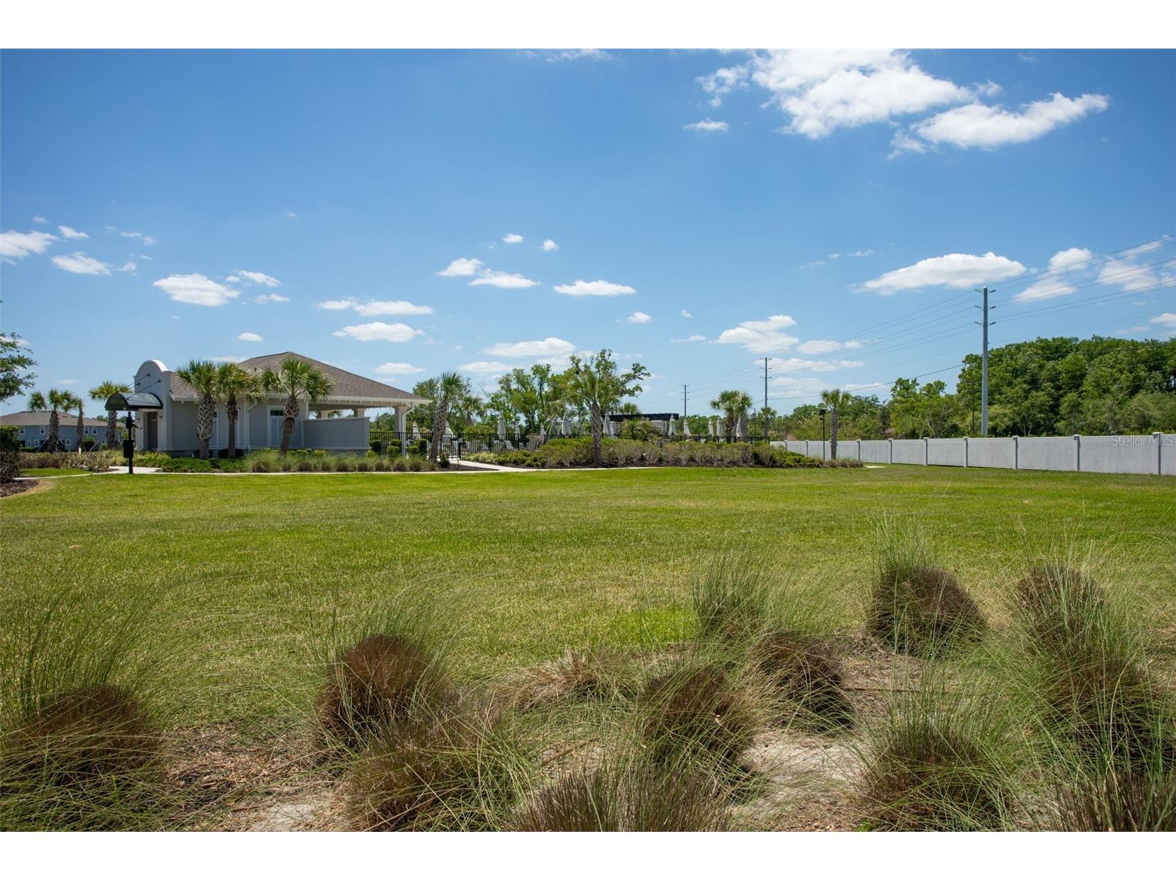 4317 Cloud Hopper Way Lutz FL 33559 TB8500396 image37