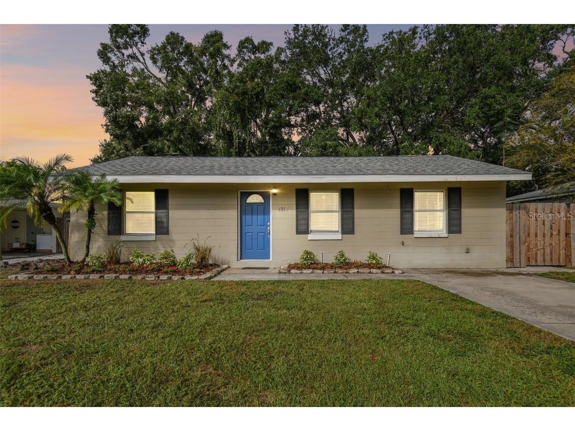 4317 S Renellie Drive Tampa FL 33611 T3479716 image1