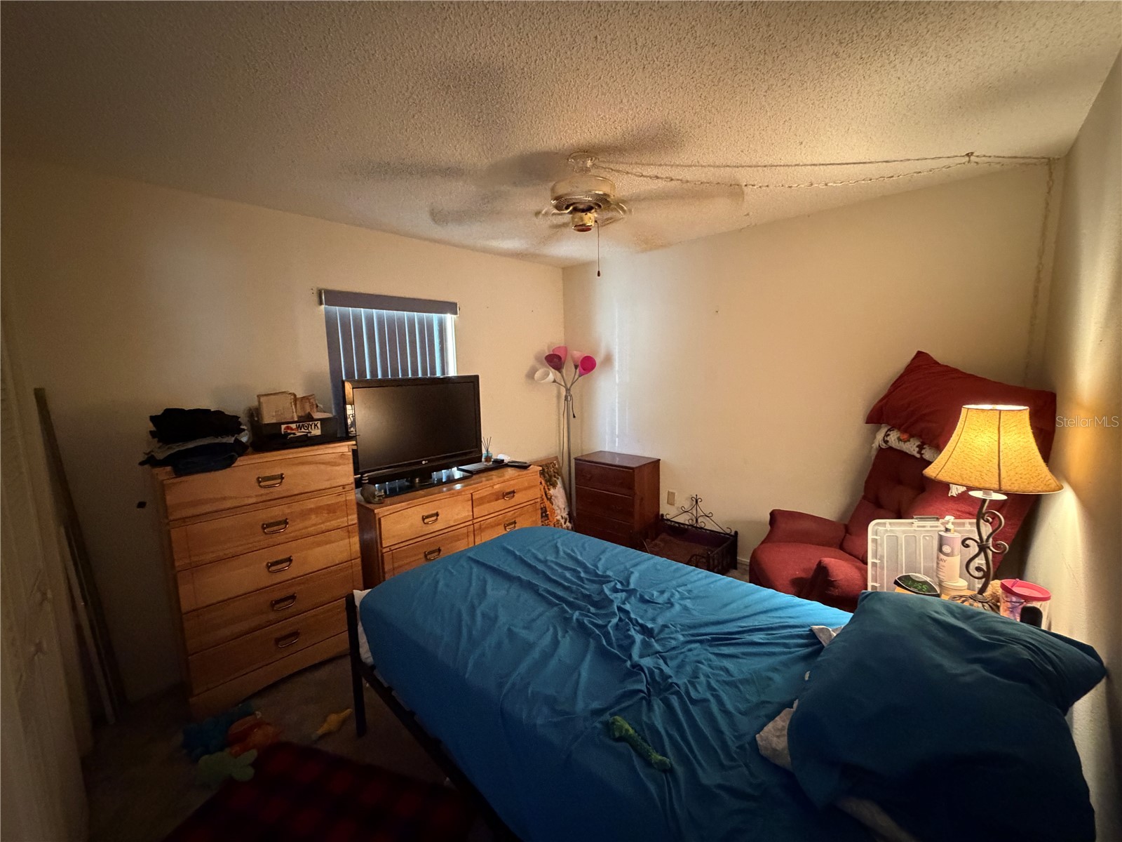4317 Tiburon Drive New Port Richey FL 34655 TB8516105 image10