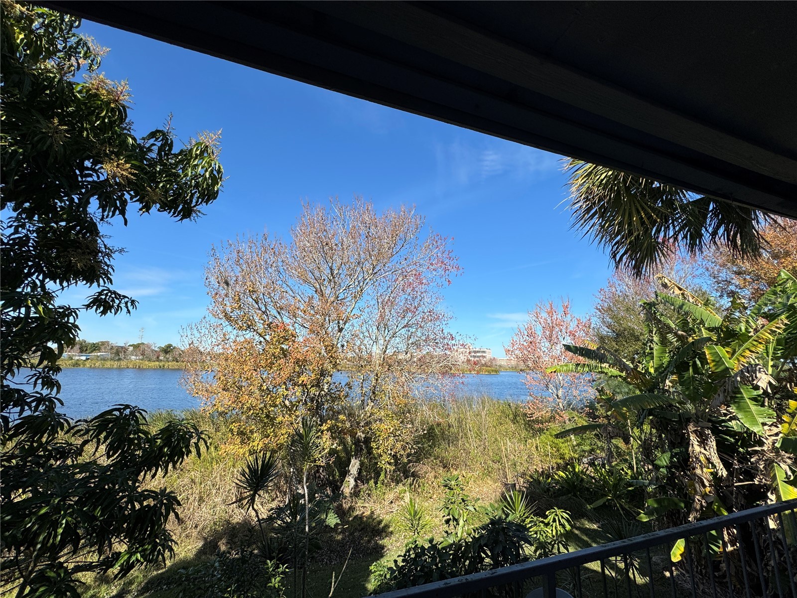 4318 Aqua Vista Drive #K Orlando FL 32839 O6376326 image21