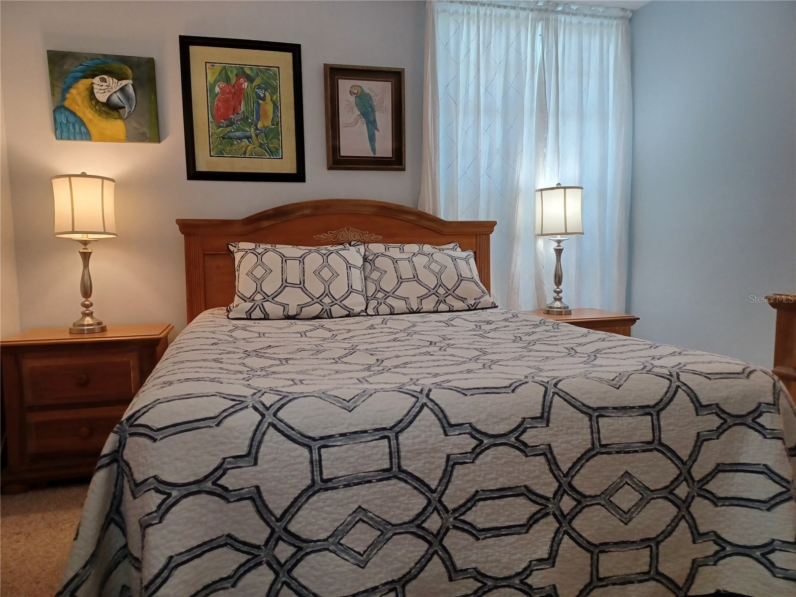 4318 Tahitian Gardens Circle #B Holiday FL 34691 TB8494072 image11