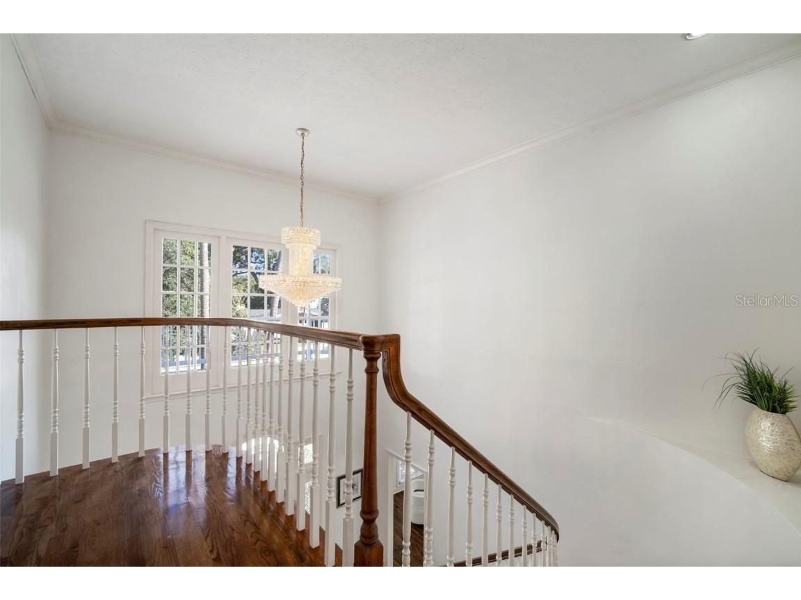 4318 W Azeele Street Tampa FL 33609 TB8433320 image35