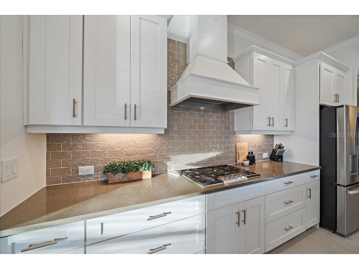 4319 Big Woods Way Parrish FL 34219 A4671755 image12