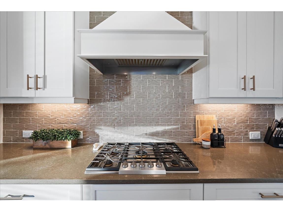 4319 Big Woods Way Parrish FL 34219 A4671755 image13