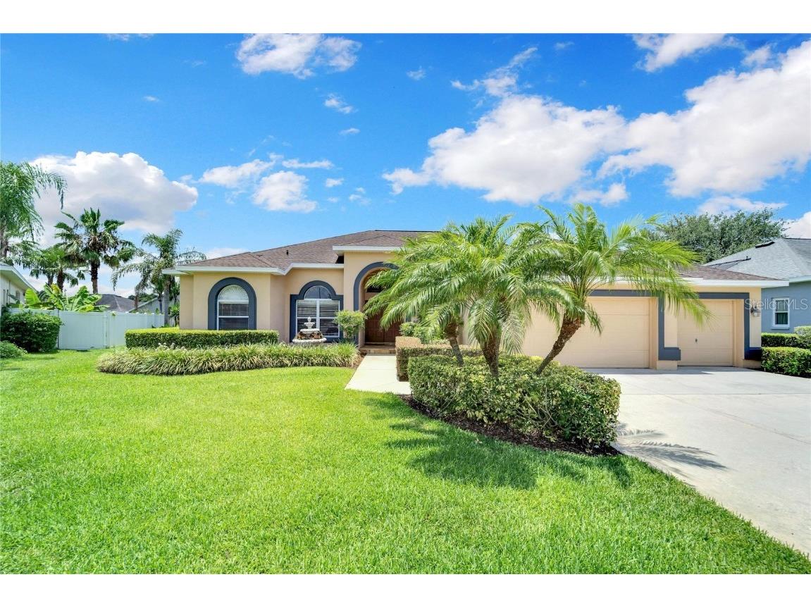 4319 Duncombe Drive Valrico FL 33596 T3453576 image1