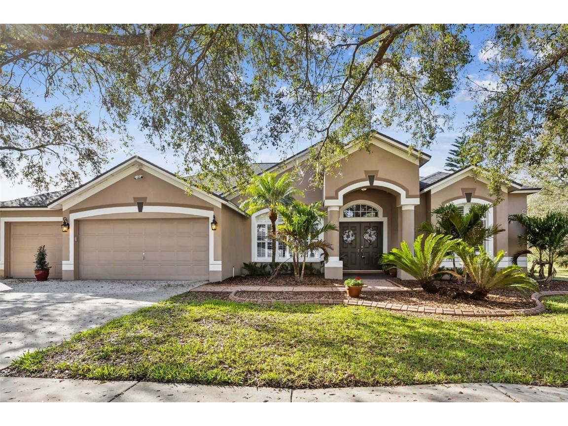 4319 Gentrice Drive Valrico FL 33596 O6282302 image1