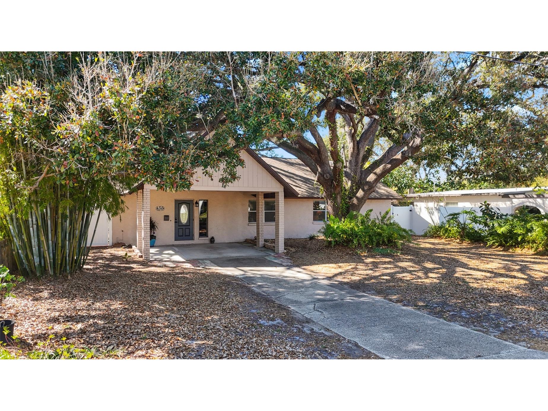 4319 S Cameron Avenue Tampa FL 33611 TB8480616 image3