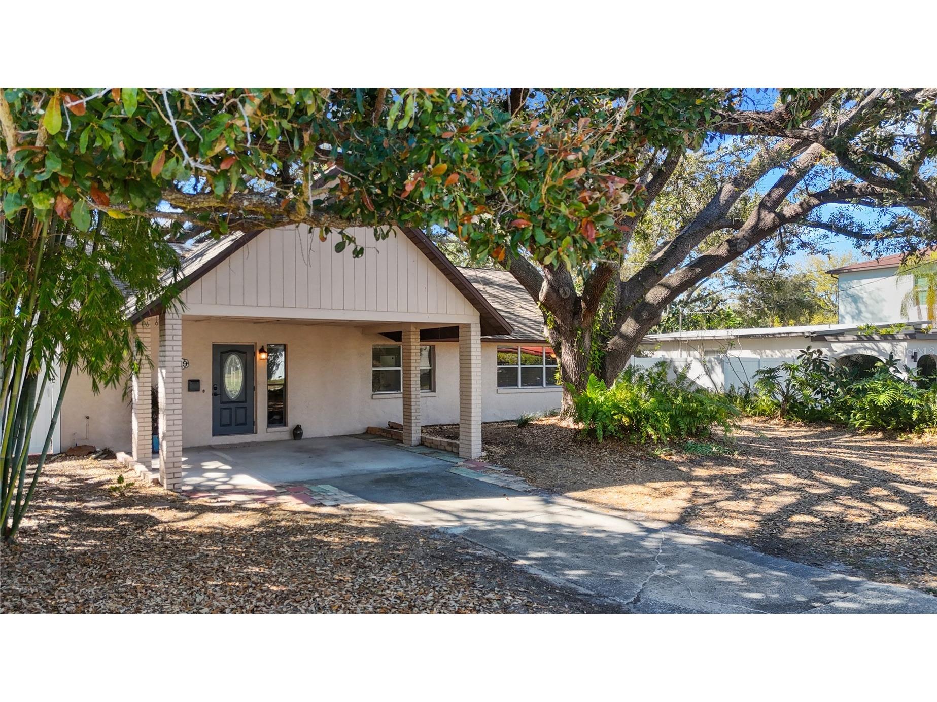 4319 S Cameron Avenue Tampa FL 33611 TB8480616 image4