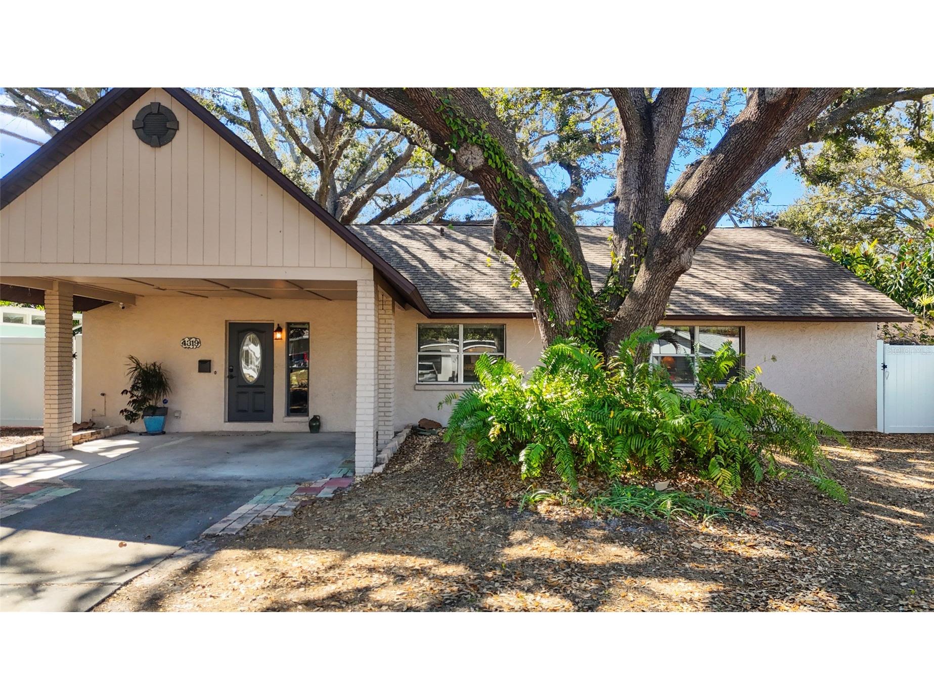 4319 S Cameron Avenue Tampa FL 33611 TB8480616 image5