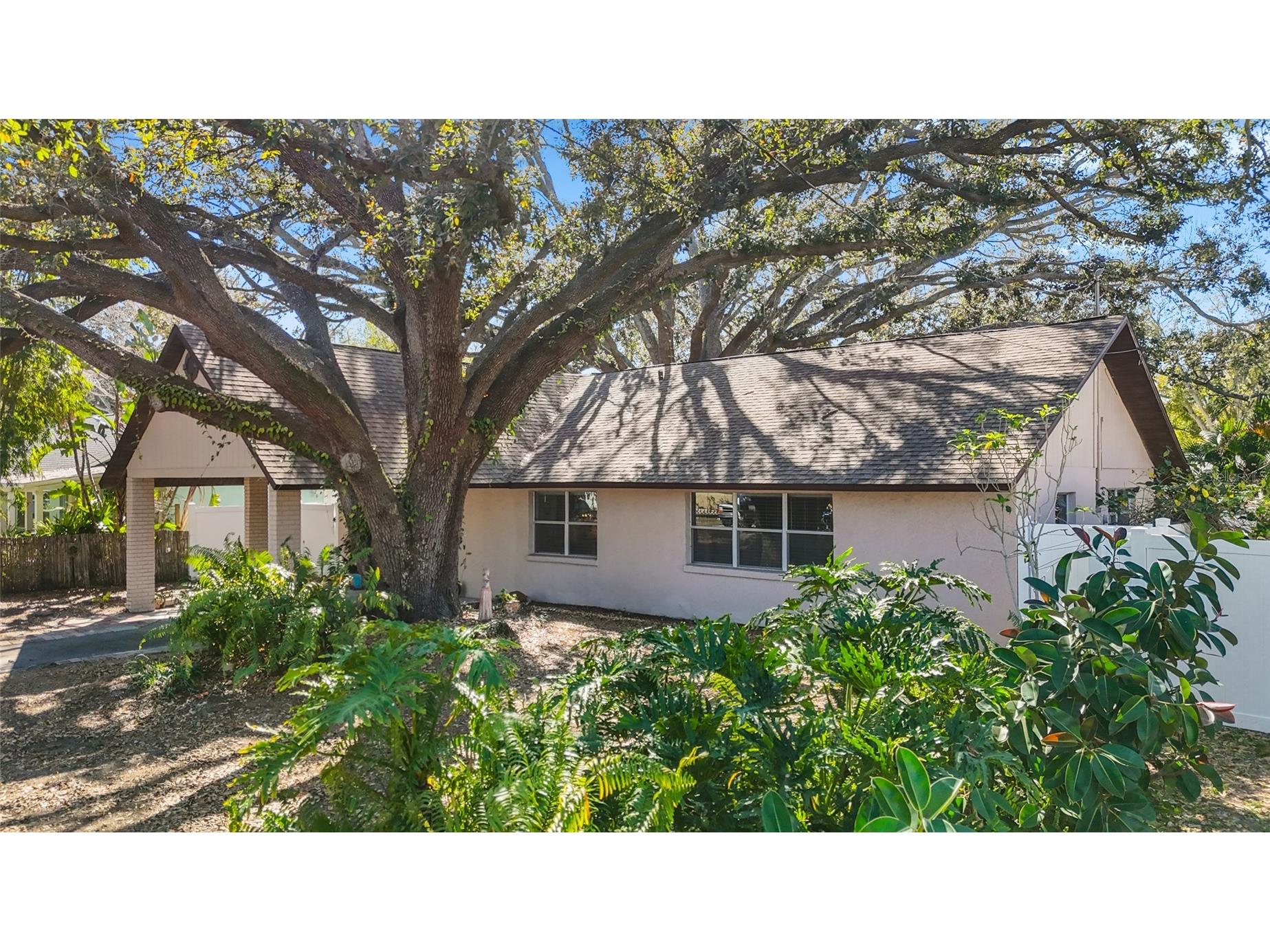 4319 S Cameron Avenue Tampa FL 33611 TB8480616 image7