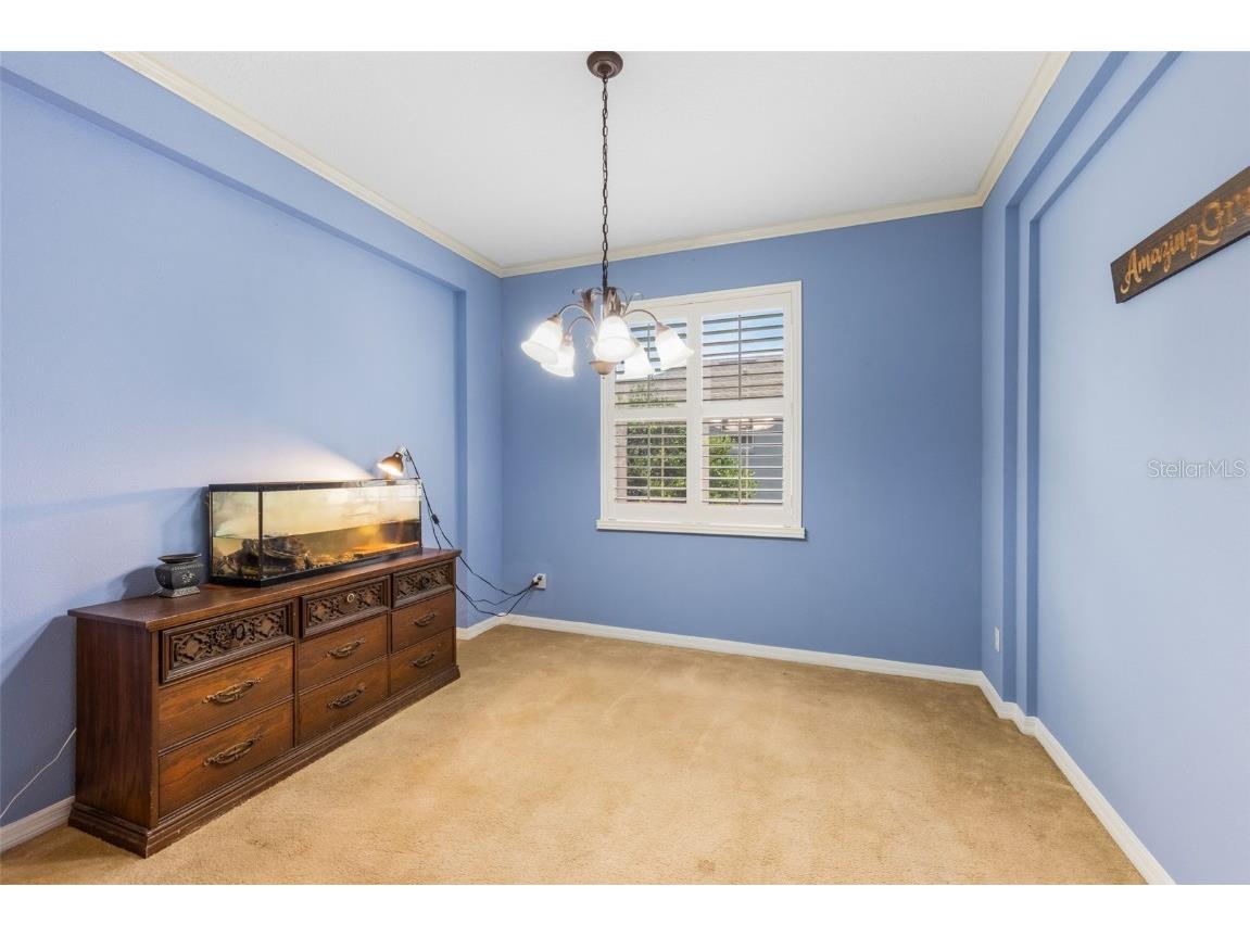 432 Alexandria Place Drive Apopka FL 32712 O6331810 image20