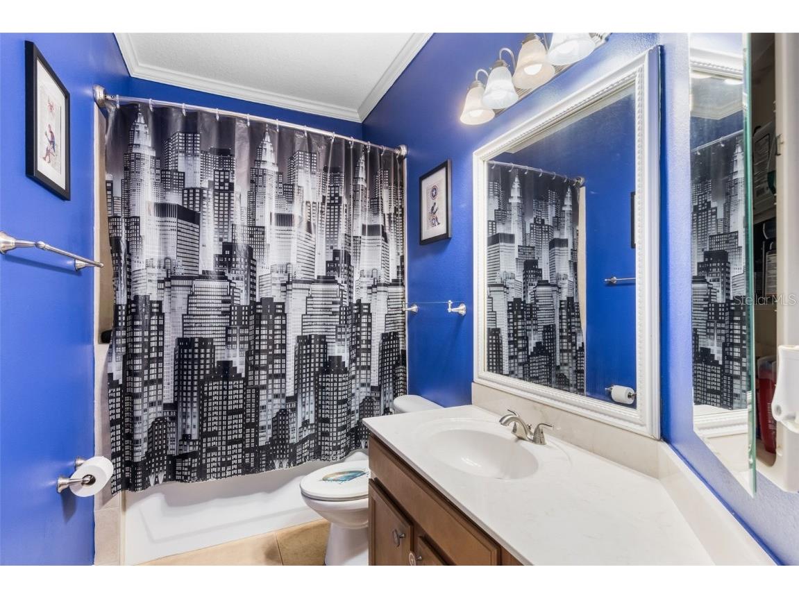 432 Alexandria Place Drive Apopka FL 32712 O6331810 image27