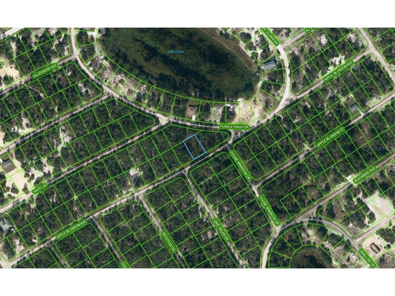 432 Apple Blossom Court Lake Placid FL 33852 OM624336 image1