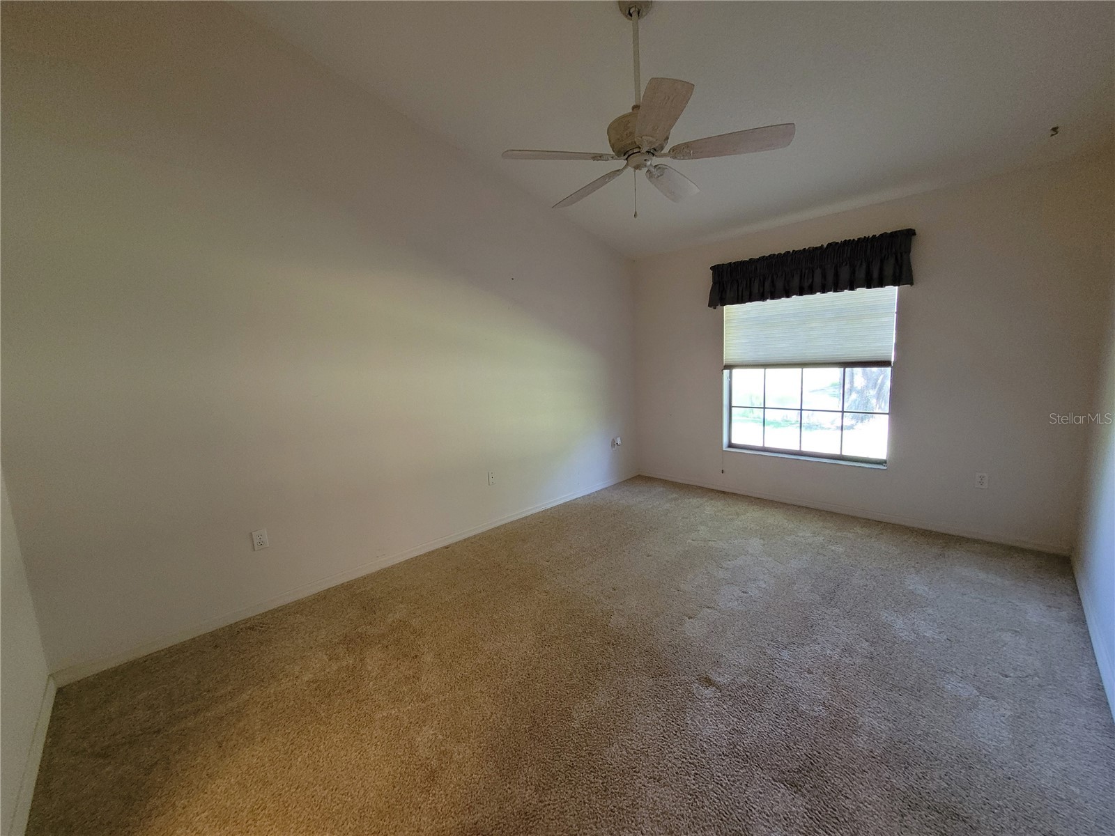 432 Baytree Blvd Tavares FL 32778 O6399279 image19