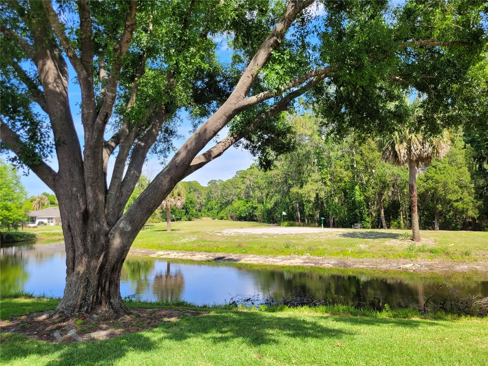 432 Baytree Blvd Tavares FL 32778 O6399279 image36