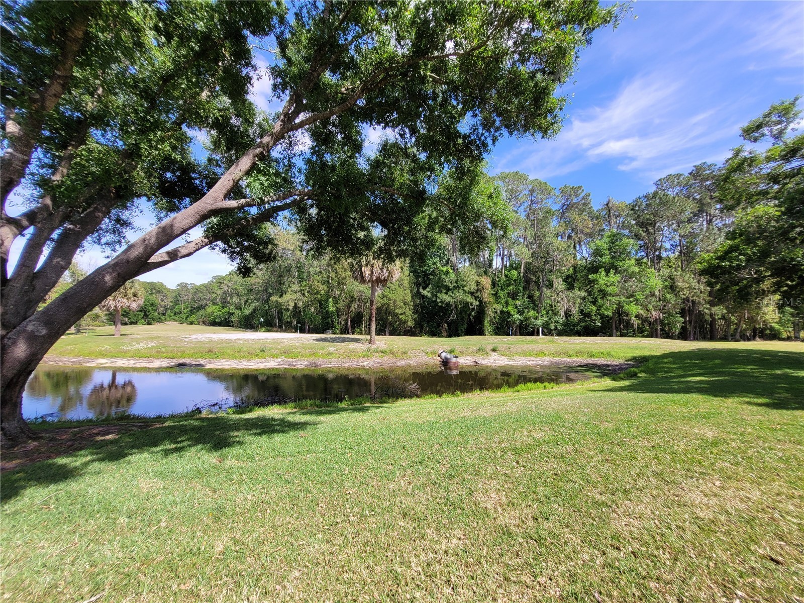 432 Baytree Blvd Tavares FL 32778 O6399279 image37