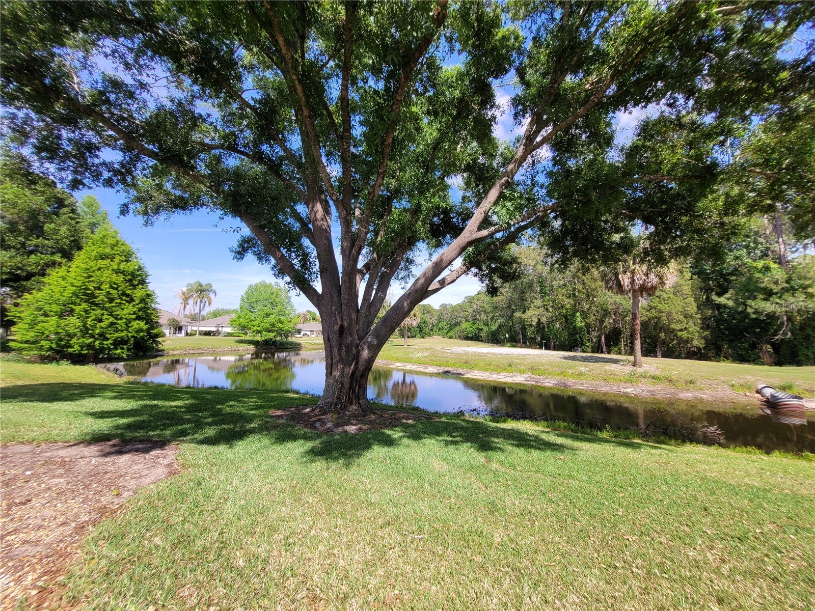 432 Baytree Blvd Tavares FL 32778 O6399279 image38