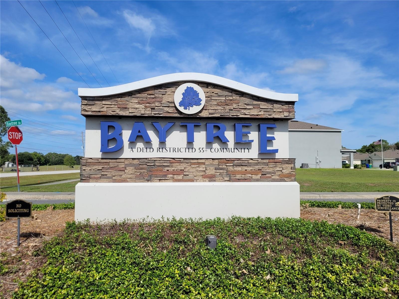 432 Baytree Blvd Tavares FL 32778 O6399279 image39