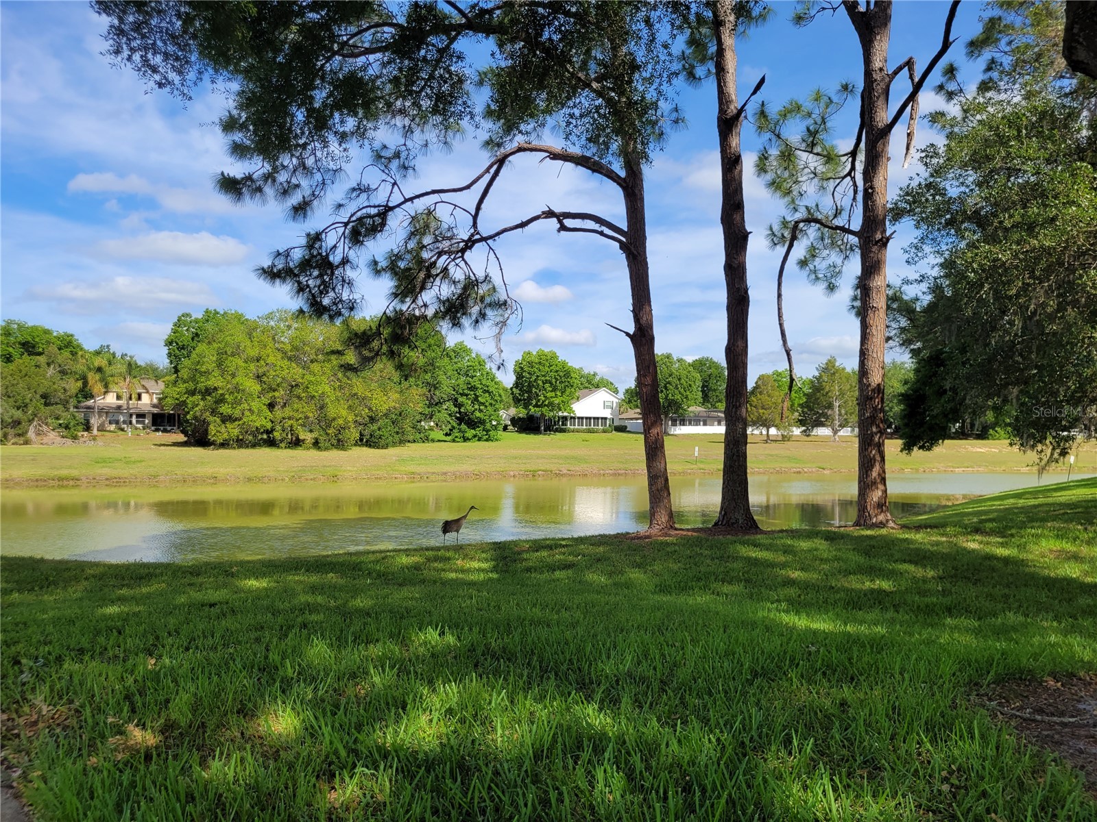 432 Baytree Blvd Tavares FL 32778 O6399279 image45
