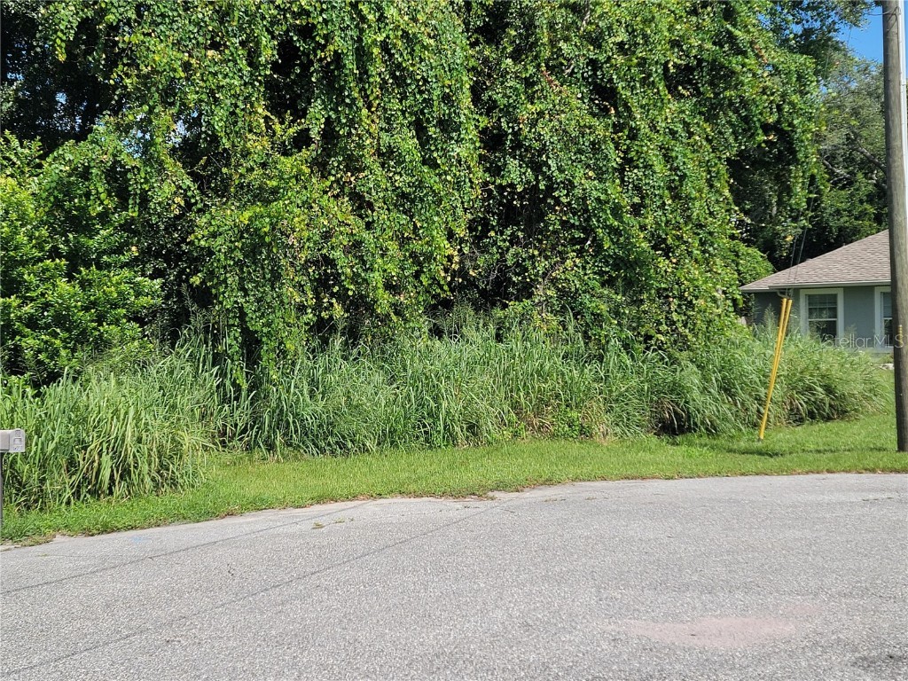 432 Chestnut Court Deltona FL 32725 V4931580 image1