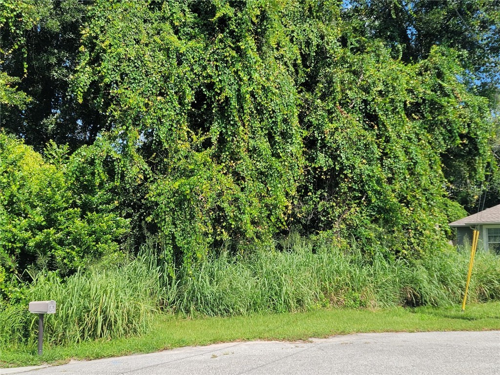 432 Chestnut Court Deltona FL 32725 V4931580 image2