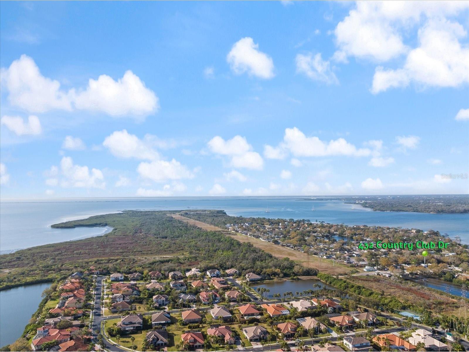 432 Country Club Drive Oldsmar FL 34677 A4684573 image4