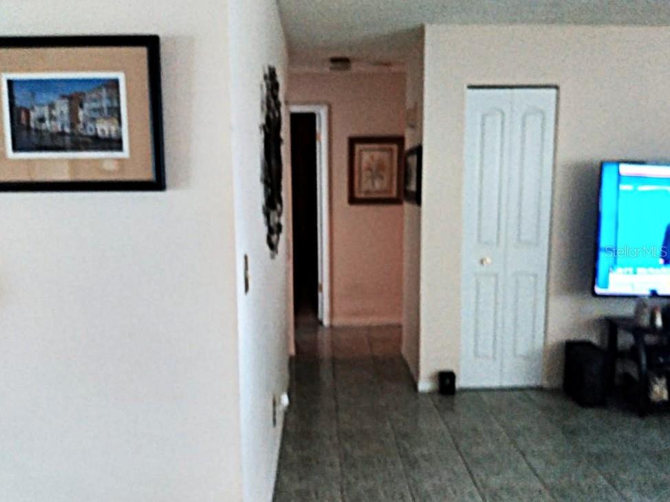 432 Flamingo Drive Apollo Beach FL 33572 TB8396113 image16