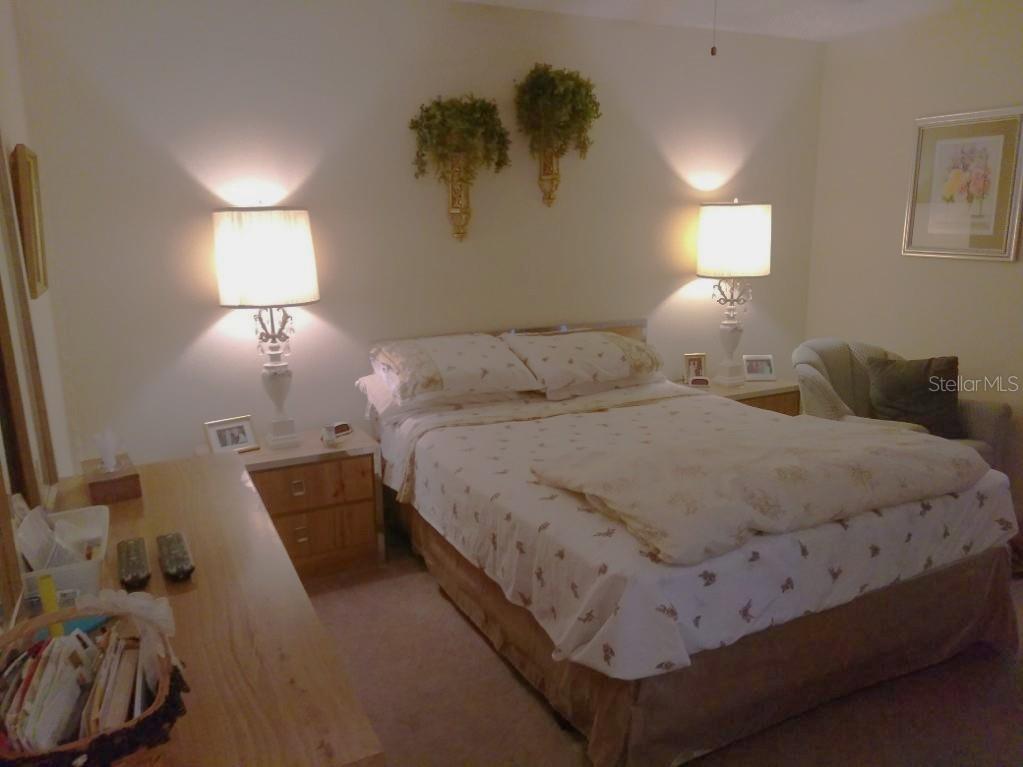 432 Flamingo Drive Apollo Beach FL 33572 TB8396113 image17