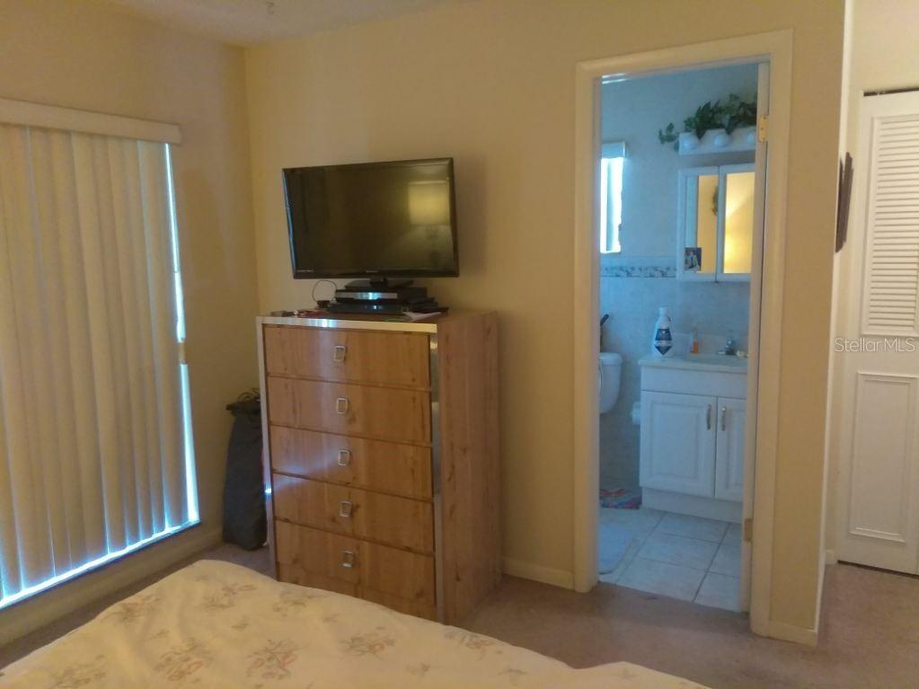 432 Flamingo Drive Apollo Beach FL 33572 TB8396113 image18