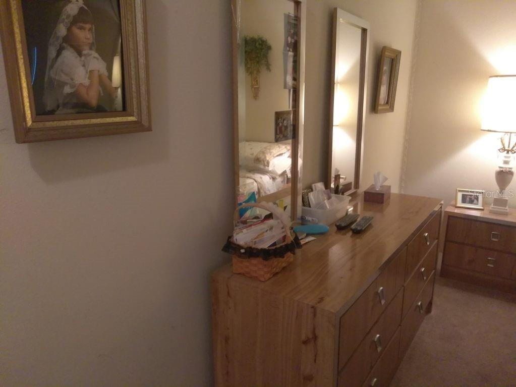 432 Flamingo Drive Apollo Beach FL 33572 TB8396113 image19