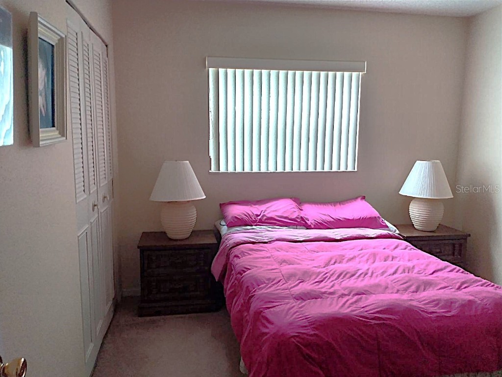 432 Flamingo Drive Apollo Beach FL 33572 TB8396113 image21