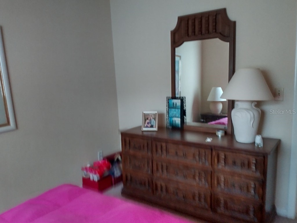 432 Flamingo Drive Apollo Beach FL 33572 TB8396113 image22