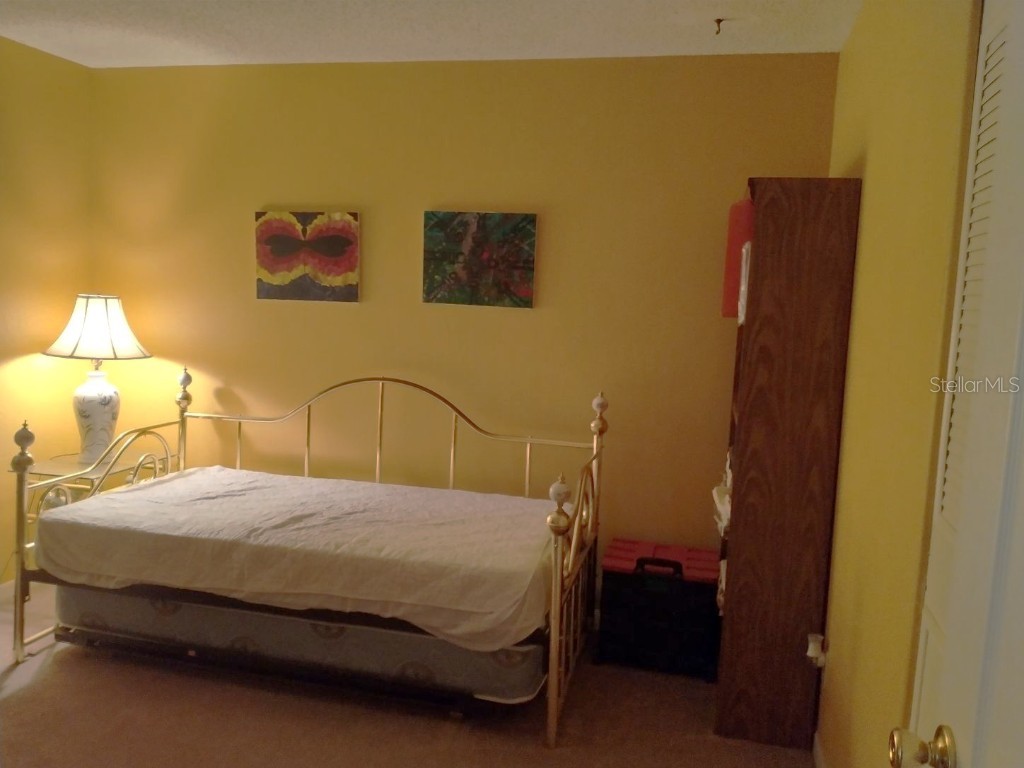 432 Flamingo Drive Apollo Beach FL 33572 TB8396113 image24