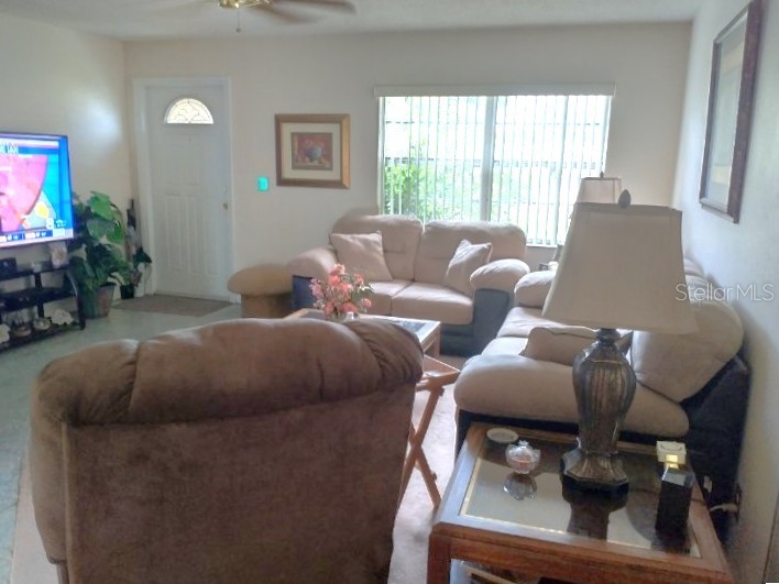 432 Flamingo Drive Apollo Beach FL 33572 TB8396113 image7