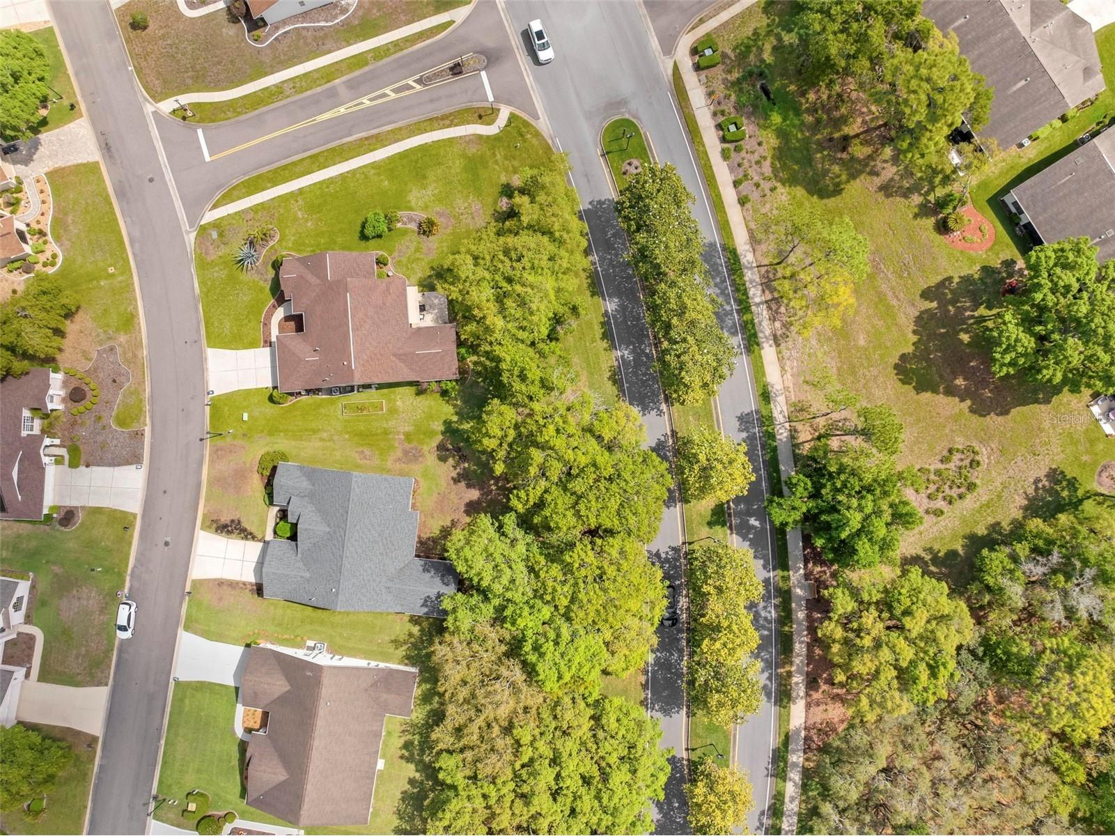 432 Mistwood Court Spring Hill FL 34609 W7884976 image43