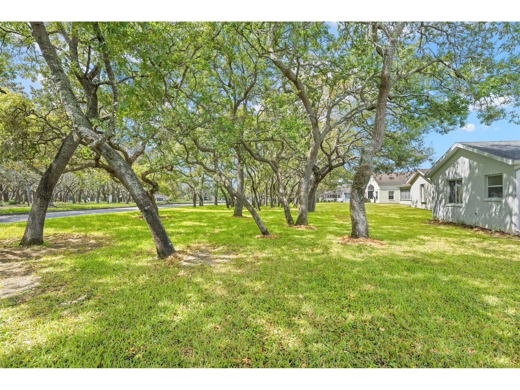 432 Mistwood Court Spring Hill FL 34609 W7884976 image52