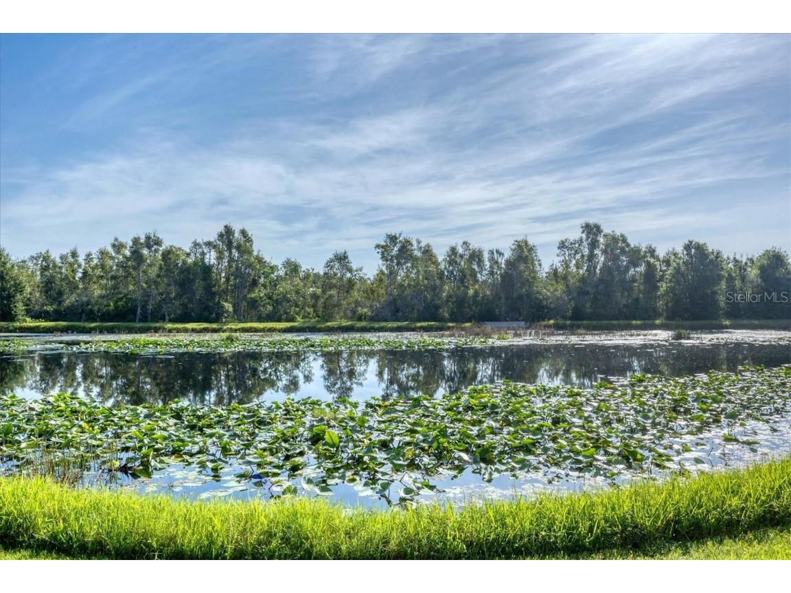 432 Sunset Lake Boulevard #102 Venice FL 34292 A4664009 image43