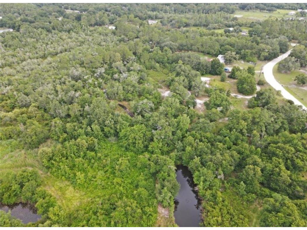 432 Wildlife Trail Lakeland FL 33809 TB8445040 image13