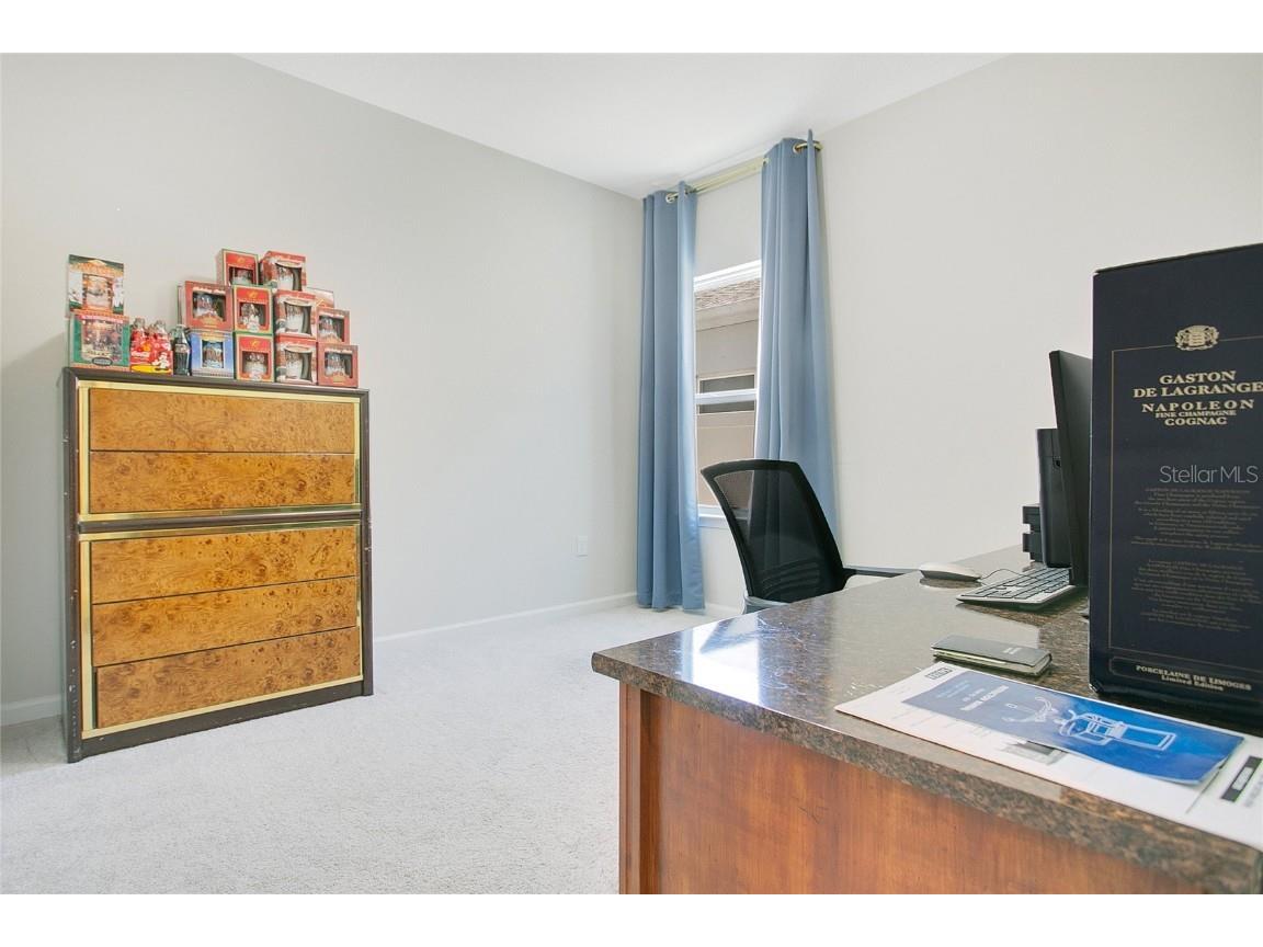 432 Winter Solstice Lane Mount Dora FL 32757 O6352632 image11